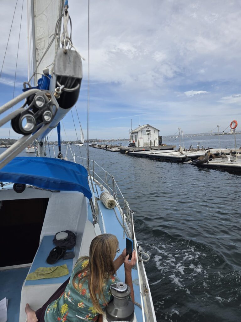 img 20250511 wa0003