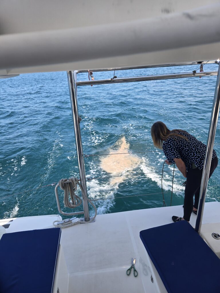 San Diego Burials at Sea